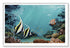Original Coral Reef Art Print - As Fate Has It